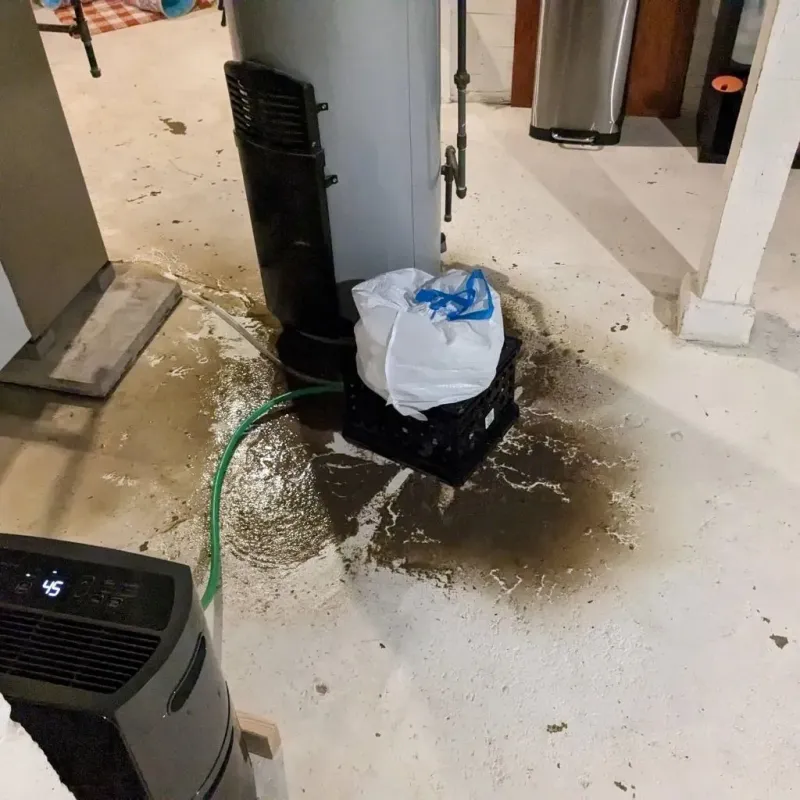 Sewage Backup Cleanup Service in Jackpot, NV